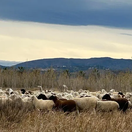 Mi Refugio En La Playa * Moncófar
