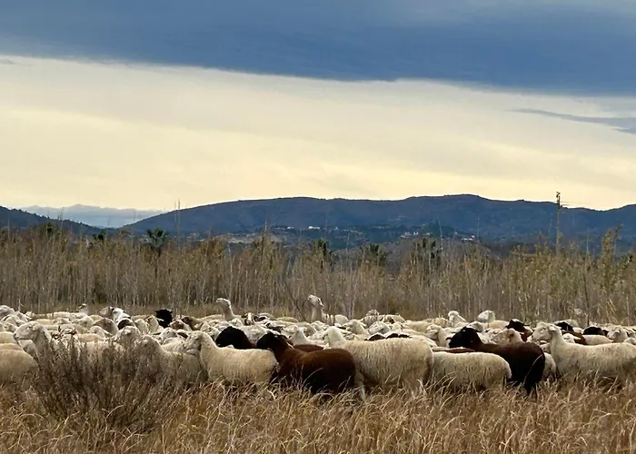 Mi Refugio En La Playa * Монкофар